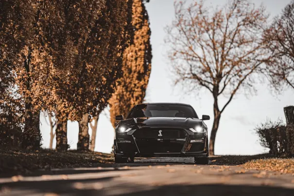 Fbet Cazino Cazinou Aplicație Android/iOS